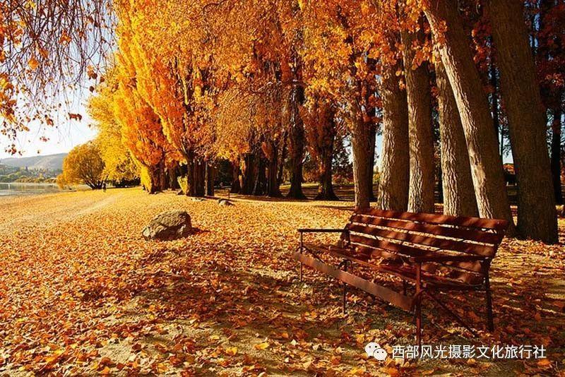 空中抛枪无敌版