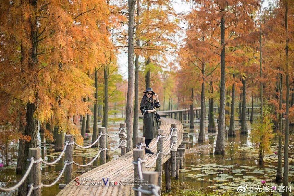 巫师之徒