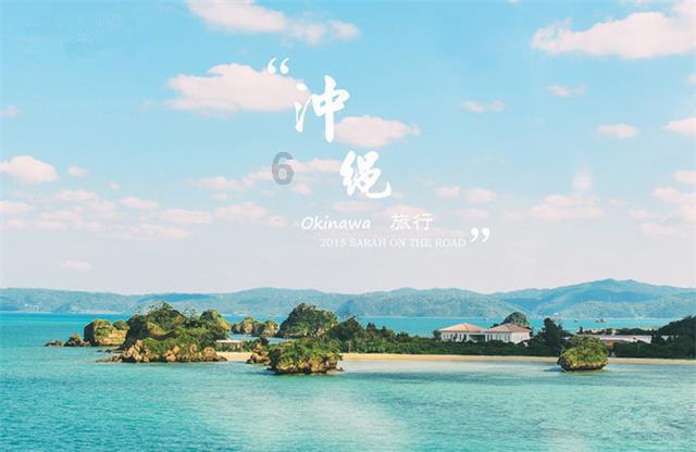 福建:以“文化+科技” 推动灵芝产业高质量发展