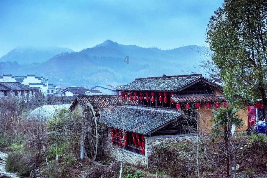 动物帮帮忙保卫家园